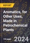 2024 Global Forecast for Aromatics (Benzene, Toluene, Xylene, Etc.), for Other Uses, Made in Petrochemical Plants (2025-2030 Outlook) - Manufacturing & Markets Report - Product Thumbnail Image