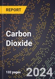 2024 Global Forecast for Carbon Dioxide (2025-2030 Outlook) - Manufacturing & Markets Report- Product Image