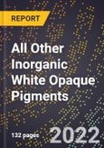 2023 Global Forecast For All Other Inorganic White Opaque Pigments (2023-2028 Outlook) - Manufacturing & Markets Report- Product Image
