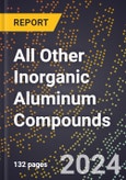 2024 Global Forecast for All Other Inorganic Aluminum Compounds (2025-2030 Outlook) - Manufacturing & Markets Report- Product Image