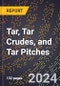 2024 Global Forecast for Tar, Tar Crudes, and Tar Pitches (2025-2030 Outlook) - Manufacturing & Markets Report - Product Thumbnail Image