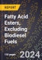 2024 Global Forecast for Fatty Acid Esters, Excluding Biodiesel Fuels (2025-2030 Outlook) - Manufacturing & Markets Report - Product Thumbnail Image