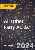 2024 Global Forecast for All Other Fatty Acids (Produced for Sale as Such) (2025-2030 Outlook) - Manufacturing & Markets Report- Product Image