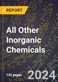 2024 Global Forecast for All Other Inorganic Chemicals (2025-2030 Outlook) - Manufacturing & Markets Report- Product Image