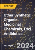 2024 Global Forecast for Other Synthetic Organic Medicinal Chemicals, Excl. Antibiotics (2025-2030 Outlook) - Manufacturing & Markets Report- Product Image