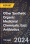 2024 Global Forecast for Other Synthetic Organic Medicinal Chemicals, Excl. Antibiotics (2025-2030 Outlook) - Manufacturing & Markets Report - Product Thumbnail Image