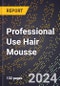 2024 Global Forecast for Professional Use Hair Mousse (2025-2030 Outlook) - Manufacturing & Markets Report - Product Thumbnail Image