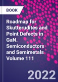 Roadmap for Skutterudites and Point Defects in GaN. Semiconductors and Semimetals Volume 111- Product Image