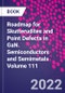 Roadmap for Skutterudites and Point Defects in GaN. Semiconductors and Semimetals Volume 111 - Product Thumbnail Image