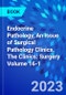 Endocrine Pathology, An Issue of Surgical Pathology Clinics. The Clinics: Surgery Volume 16-1 - Product Thumbnail Image
