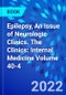Epilepsy, An Issue of Neurologic Clinics. The Clinics: Internal Medicine Volume 40-4 - Product Thumbnail Image