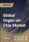 Global Organ-on-Chip Market Size, Share & Industry Trends Analysis Report by Type (Lung on chip, Heart on chip, Human on chip, Kidney on chip, Liver on chip, and Intestine on chip), Regional Outlook and Forecast, 2022-2028 - Product Image
