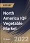 North America IQF Vegetable Market Size, Share & Industry Trends Analysis Report by Nature (Conventional and Organic), End-user (Commercial and Residential), Distribution Channel, Country and Growth Forecast, 2022-2028 - Product Thumbnail Image