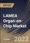 LAMEA Organ-on-Chip Market Size, Share & Industry Trends Analysis Report by Type (Lung on chip, Heart on chip, Human on chip, Kidney on chip, Liver on chip, and Intestine on chip), Country and Growth Forecast, 2022-2028 - Product Thumbnail Image