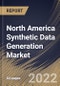 North America Synthetic Data Generation Market Size, Share & Industry Trends Analysis Report by Application, Offering, Data Type, Modeling Type (Agent-based Modeling and Direct Modeling), End-use, Country and Growth Forecast, 2022-2028 - Product Thumbnail Image