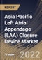 Asia Pacific Left Atrial Appendage (LAA) Closure Device Market Size, Share & Industry Trends Analysis Report by Application, End-user, Country and Growth Forecast, 2022-2028 - Product Thumbnail Image