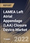 LAMEA Left Atrial Appendage (LAA) Closure Device Market Size, Share & Industry Trends Analysis Report by Application, End-user, Country and Growth Forecast, 2022-2028 - Product Thumbnail Image