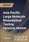 Asia Pacific Large Molecule Bioanalytical Testing Services Market Size, Share & Industry Trends Analysis Report by End-user (SMEs and Large Firms), Test Type, Type (ADA, Pharmacokinetics), Phase, Therapeutic Areas, Country and Growth Forecast, 2022-2028 - Product Thumbnail Image