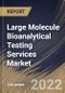 Large Molecule Bioanalytical Testing Services Market Size, Share & Industry Trends Analysis Report by End-user (SMEs and Large Firms), Test Type, Type (ADA, Pharmacokinetics), Phase, Therapeutic Areas, Regional Outlook and Forecast, 2022-2028 - Product Thumbnail Image