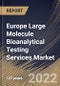Europe Large Molecule Bioanalytical Testing Services Market Size, Share & Industry Trends Analysis Report by End-user (SMEs and Large Firms), Test Type, Type (ADA, Pharmacokinetics), Phase, Therapeutic Areas, Country and Growth Forecast, 2022-2028 - Product Thumbnail Image