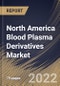 North America Blood Plasma Derivatives Market Size, Share & Industry Trends Analysis Report by Application, End-user, Type (Immunoglobulin, Albumin, Factor VIII, Factor IX, Hyperimmune Globulin), Country and Growth Forecast, 2022-2028 - Product Image