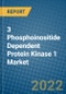 3 Phosphoinositide Dependent Protein Kinase 1 Market 2022-2028 - Product Image