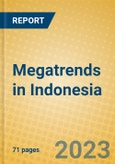 Megatrends in Indonesia- Product Image
