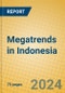 Megatrends in Indonesia - Product Thumbnail Image