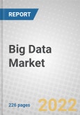 Big Data: Global Market Size, Share and Growth- Product Image