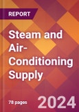 Steam and Air-Conditioning Supply - 2024 U.S. Market Research Report with Updated Recession Risk Forecasts- Product Image