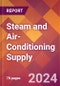 Steam and Air-Conditioning Supply - 2024 U.S. Market Research Report with Updated Recession Risk Forecasts - Product Image