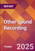 Other Sound Recording - 2024 U.S. Market Research Report with Updated Recession Risk Forecasts- Product Image