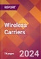 Wireless Carriers - 2023 U.S. Market Research Report with Updated Recession Forecasts - Product Image