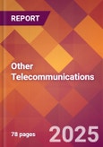 Other Telecommunications - 2024 U.S. Market Research Report with Updated Recession Risk Forecasts- Product Image