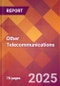 Other Telecommunications - 2024 U.S. Market Research Report with Updated Recession Risk Forecasts - Product Image