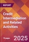 Credit Intermediation and Related Activities - 2024 U.S. Market Research Report with Updated Recession Risk Forecasts - Product Image