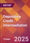 Depository Credit Intermediation - 2024 U.S. Market Research Report with Updated Recession Risk Forecasts - Product Image