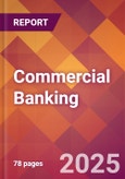 Commercial Banking - 2024 U.S. Market Research Report with Updated Recession Risk Forecasts- Product Image