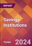 Savings Institutions - 2024 U.S. Market Research Report with Updated Recession Risk Forecasts- Product Image