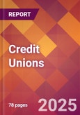 Credit Unions - 2024 U.S. Market Research Report with Updated Recession Risk Forecasts- Product Image