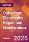 Consumer Electronics Repair and Maintenance - 2024 U.S. Market Research Report with Updated Recession Risk Forecasts - Product Image