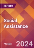 Social Assistance - 2024 U.S. Market Research Report with Updated Recession Risk Forecasts- Product Image
