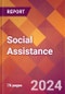 Social Assistance - 2024 U.S. Market Research Report with Updated Recession Risk Forecasts - Product Image