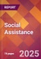 Social Assistance - 2024 U.S. Market Research Report with Updated Recession Risk Forecasts - Product Image