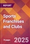 Sports Franchises and Clubs - US Industry Market Research Report with Updated Recession Risk Analysis & Forecasts - Product Thumbnail Image