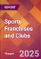 Sports Franchises and Clubs - 2024 U.S. Market Research Report with Updated Recession Risk Forecasts - Product Image