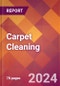 Carpet Cleaning - 2023 U.S. Market Research Report with Updated Recession Forecasts - Product Image