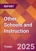 Other Schools and Instruction - 2024 U.S. Market Research Report with Updated Recession Risk Forecasts- Product Image