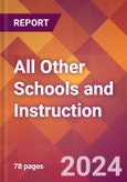 All Other Schools and Instruction - 2024 U.S. Market Research Report with Updated Recession Risk Forecasts- Product Image