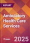 Ambulatory Health Care Services - 2024 U.S. Market Research Report with Updated Recession Risk Forecasts - Product Image